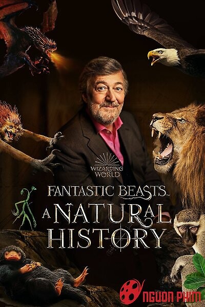 Sinh Vật Huyền Bí: Lịch Sử Tự Nhiên - Fantastic Beasts: A Natural History (2022)