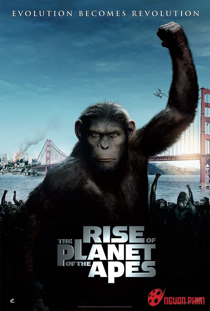 Phim Sự Trỗi Dậy Của Hành Tinh Khỉ Rise Of The Of The Apes