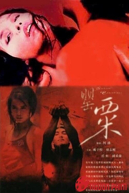 Phận Gái Vùng Cao - The Sichuan Concubine (1994)