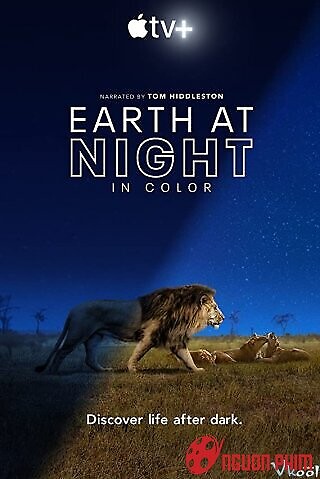 Sắc Màu Trái Đất Về Đêm