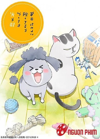 Inu To Neko Docchi Mo Katteru To Mainichi Tanoshii