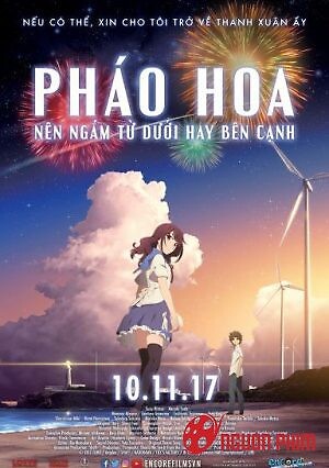 Pháo Hoa, Nên Ngắm Từ Dưới Hay Bên Cạnh?