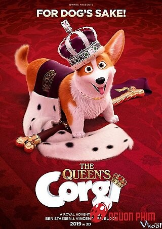 Corgi Những Chú Chó Hoàng Gia