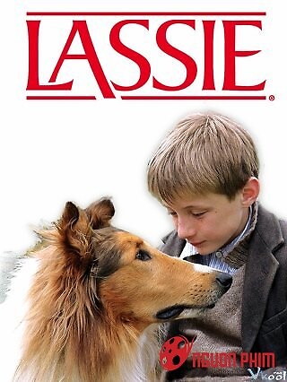 Lassie Về Nhà