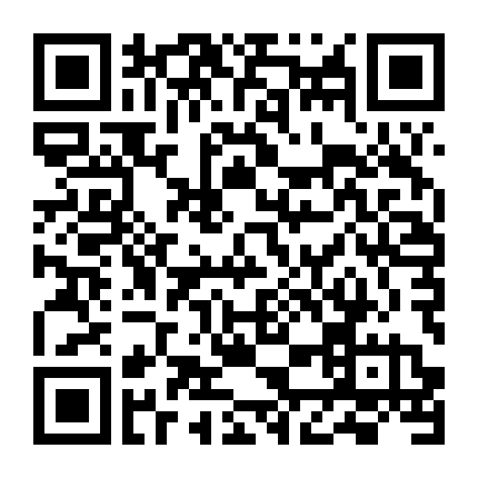Pin Pak: Trâm Cài Tóc Hoàng Gia
